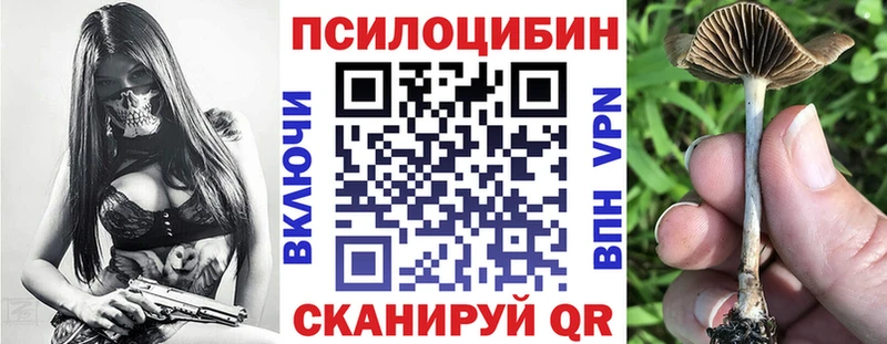 где найти   Северск  Галлюциногенные грибы Magic Shrooms 