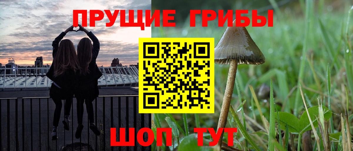 Северск  Галлюциногенные грибы GOLDEN TEACHER  Вход с VPN  Галлюциногенные грибы MAGIC MUSHROOMS 